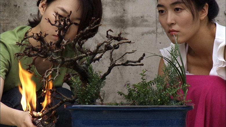 Backdrop image for movie Anyang, Paradise City