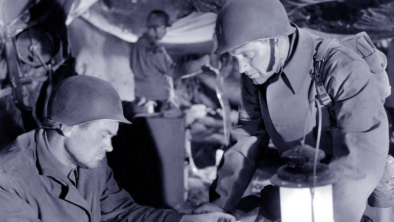 Backdrop image for movie Force of Arms