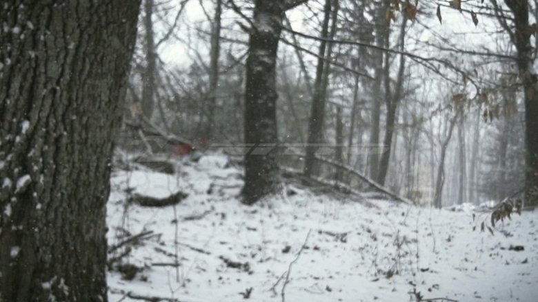 Backdrop image for movie Element of Survival