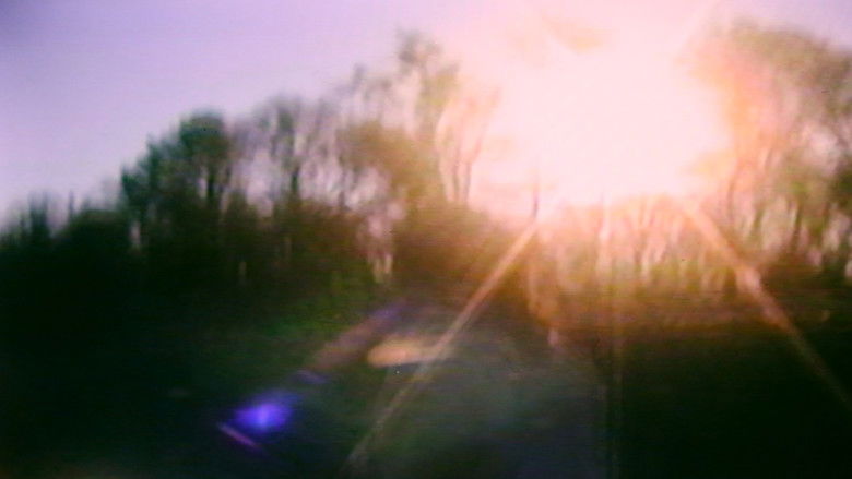 Backdrop image for movie Of Pentacles