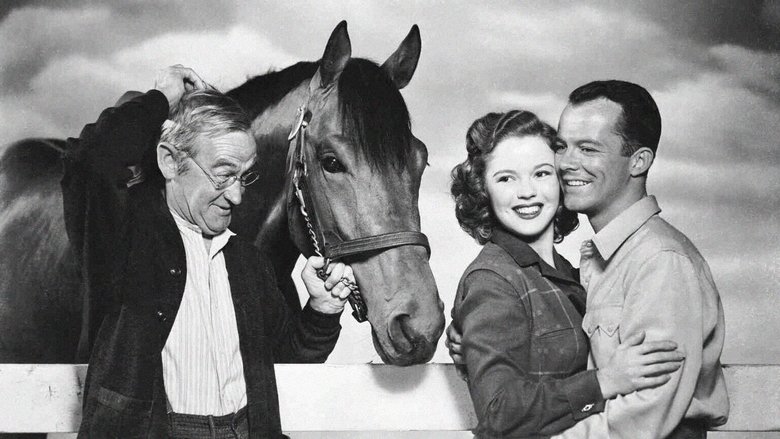 Backdrop image for movie The Story of Seabiscuit