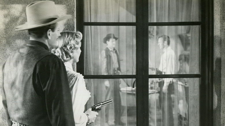 Backdrop image for movie Rider from Tucson