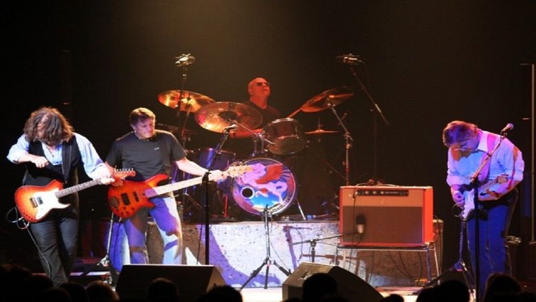 Backdrop image for movie Steve Miller Band - Live from Chicago