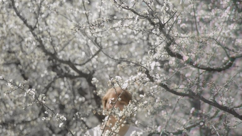 Backdrop image for movie Back to the light