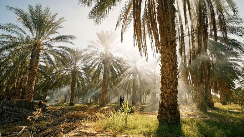 Backdrop image for movie Tunisie : Une oasis dans un grain de sable