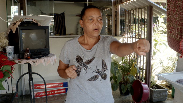 Backdrop image for movie Forrando a Vastidão