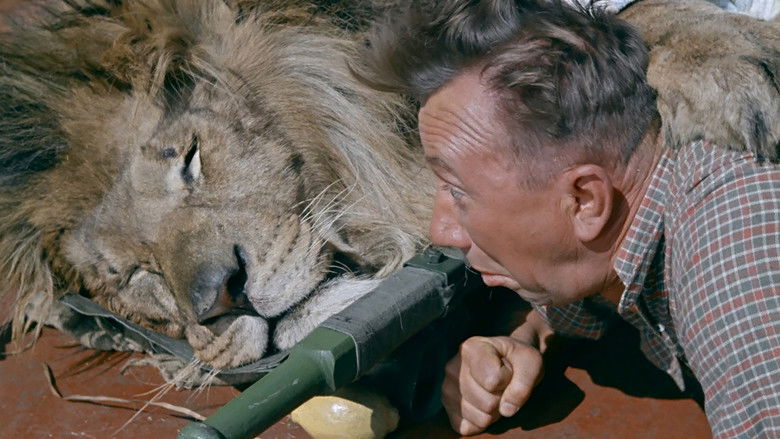 Backdrop image for movie Striped Trip