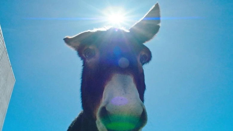 Backdrop image for movie Perfectly a Strangeness