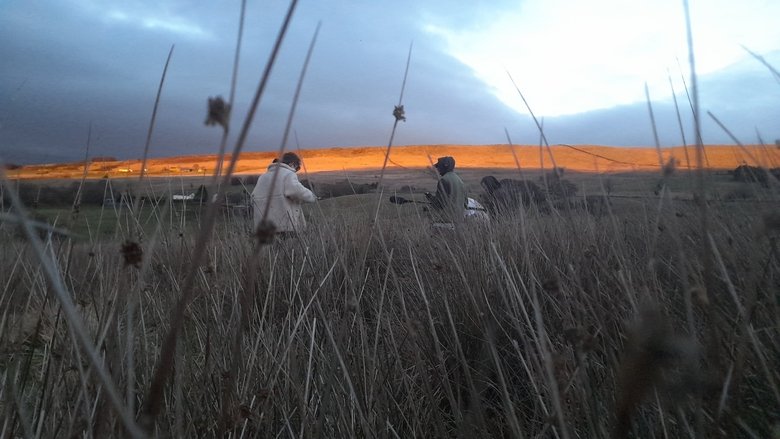 Backdrop image for movie INSIDE: Narrative of Our Journey