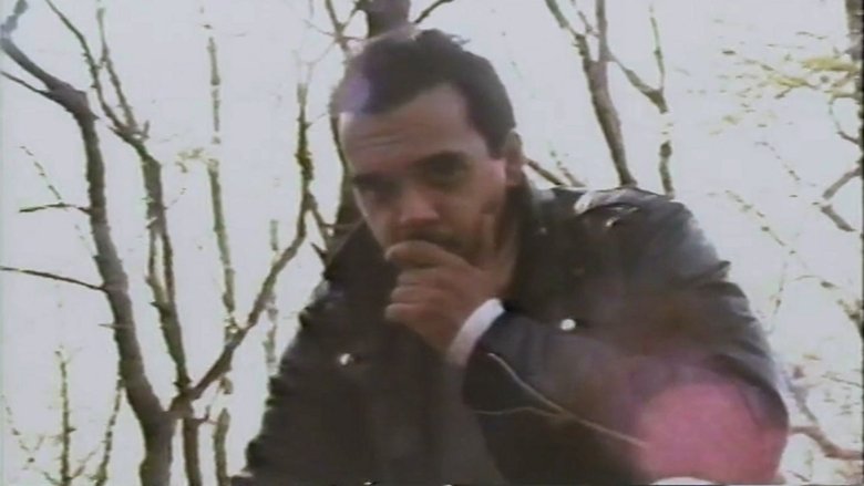 Backdrop image for movie Baby, I'm A Werewolf