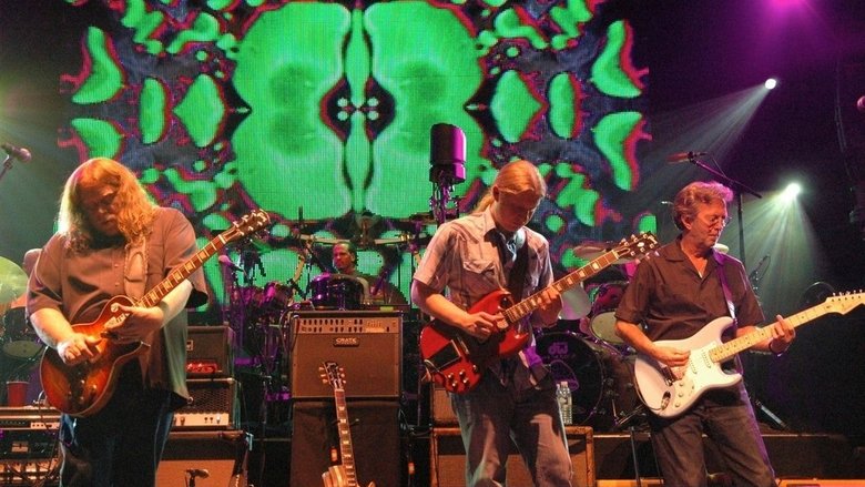 Backdrop image for movie The Allman Brothers Band: 40