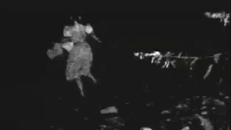 Backdrop image for movie The Oz Witch Project