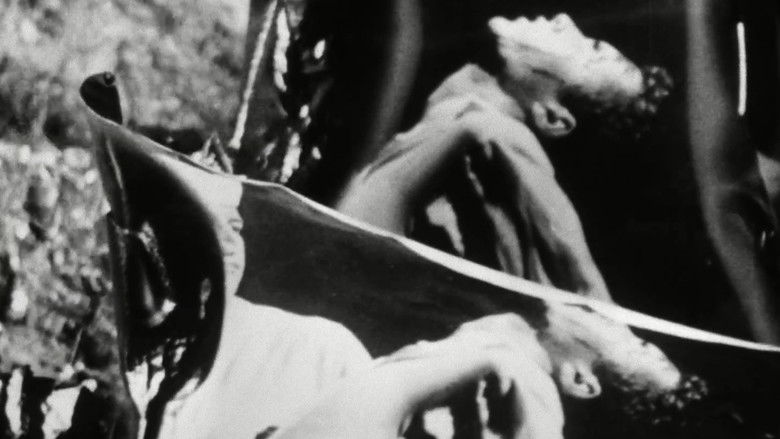 Backdrop image for movie Fireworks