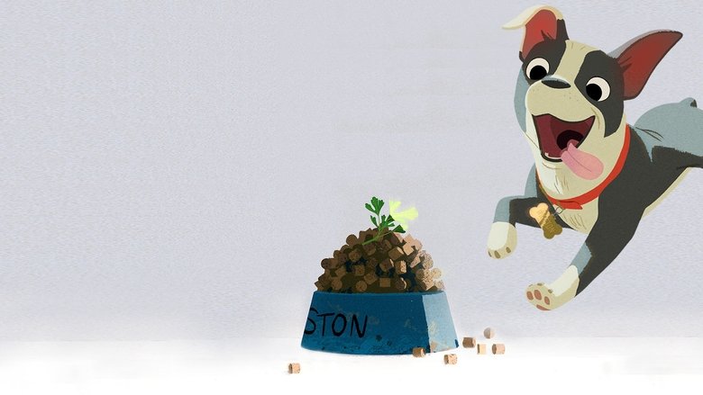 Backdrop image for movie Feast