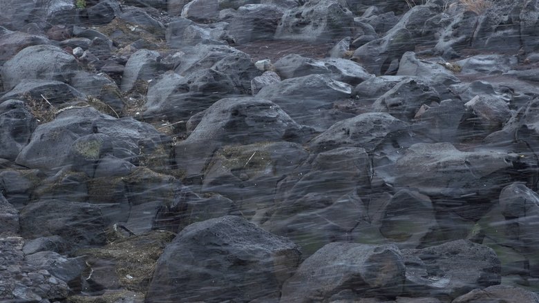 Backdrop image for movie Until the Stones Speak