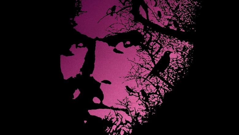 Backdrop image for movie The Dark Half