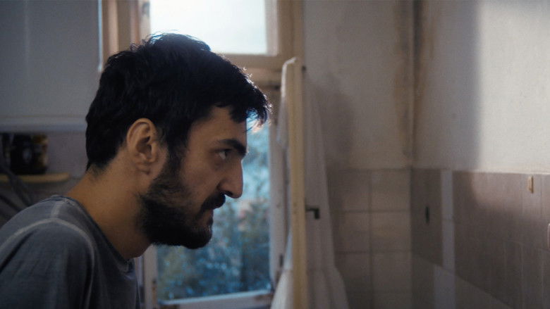 Backdrop image for movie Toni