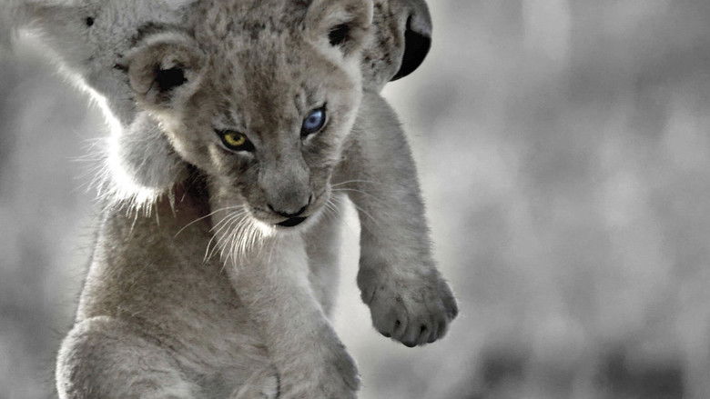 Backdrop image for movie The Bastard King