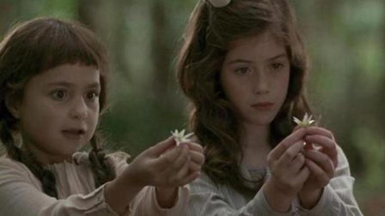 Backdrop image for movie Photographing Fairies