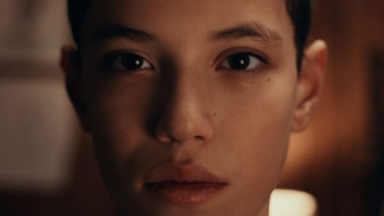 Backdrop image for movie Wonder