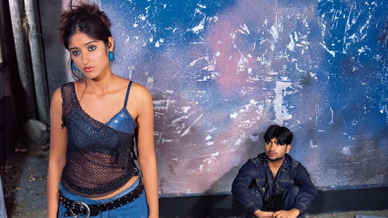 Backdrop image for movie Kedi