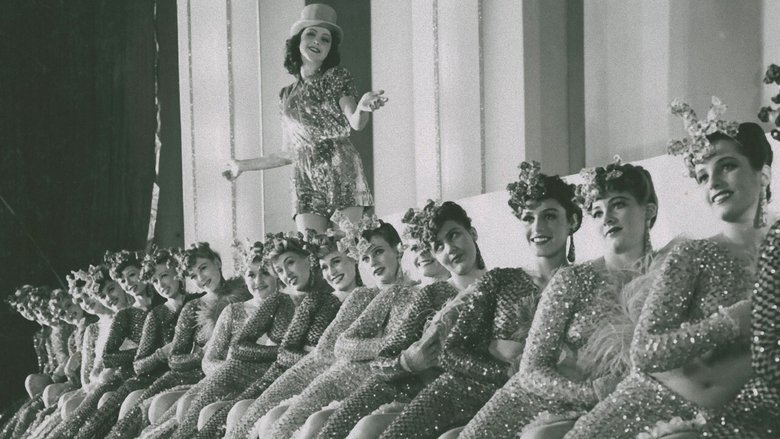 Backdrop image for movie Fröken Vildkatt