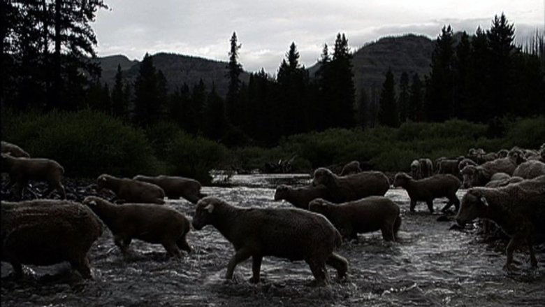 Backdrop image for movie Hell Roaring Creek