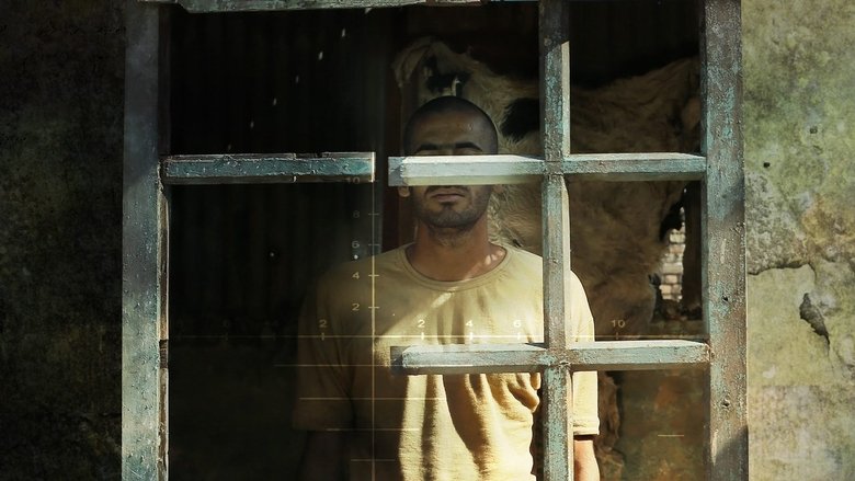 Backdrop image for movie Haifa Street