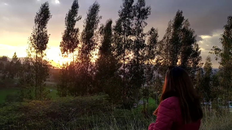 Backdrop image for movie AMAUTA