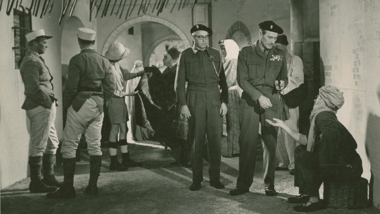 Backdrop image for movie En svensk tiger