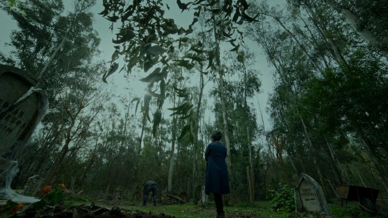 Backdrop image for movie Exhumación