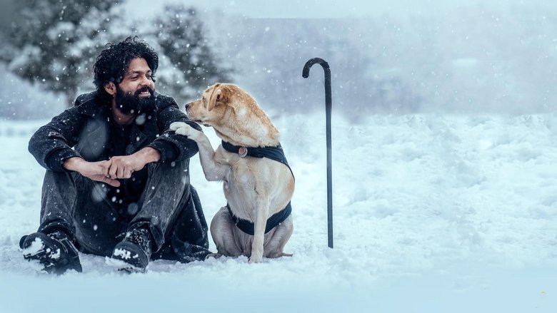Backdrop image for movie 777 Charlie