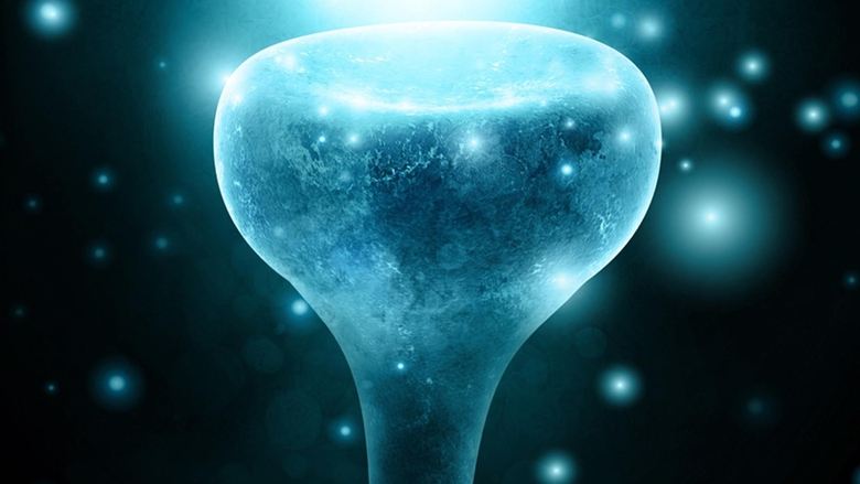 Backdrop image for movie Neurons to Nirvana