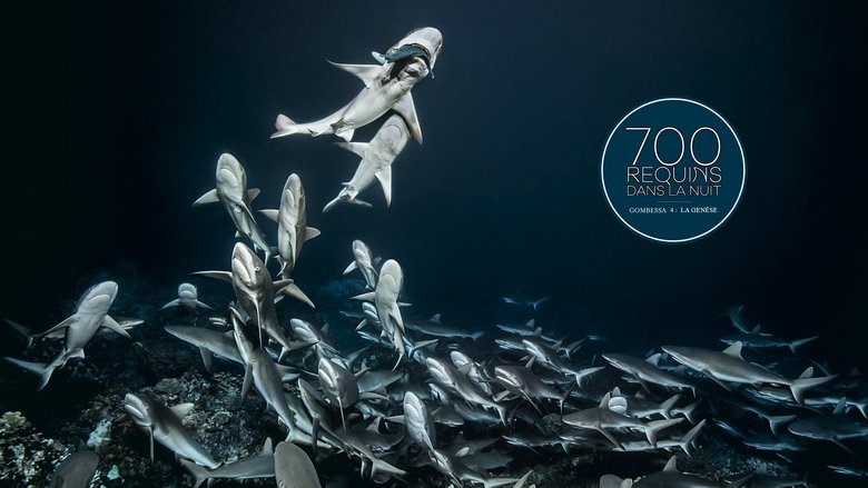 Backdrop image for movie 700 Sharks (Gombessa 4, Genesis)