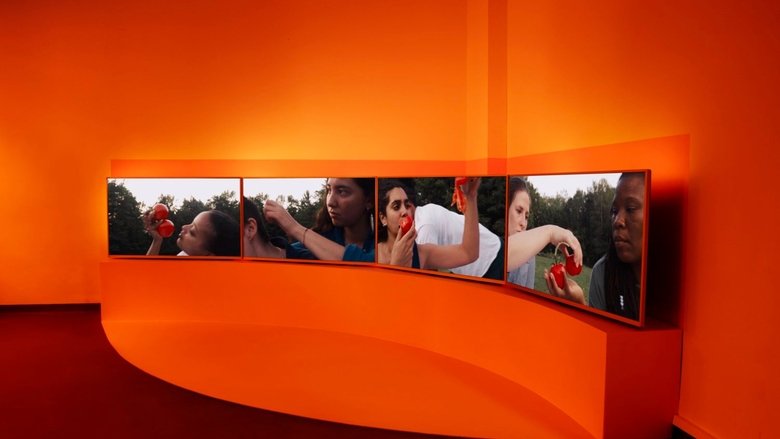 Backdrop image for movie Tomatoes