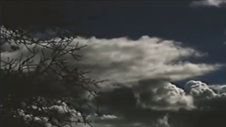 Backdrop image for movie The Field Is White