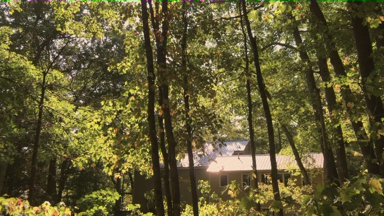 Backdrop image for movie Summer Day