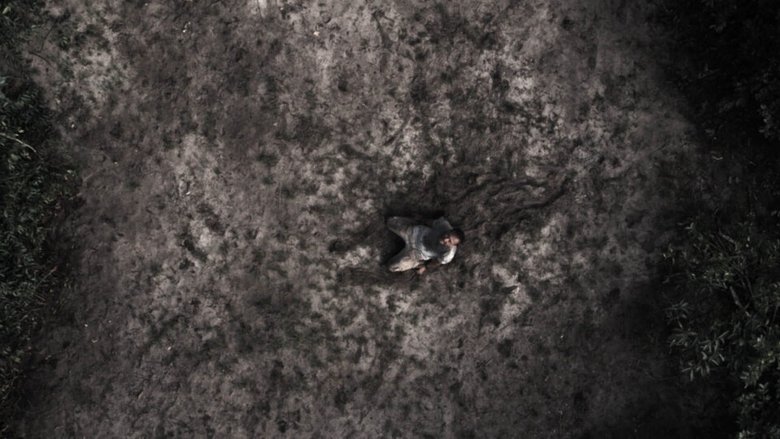 Backdrop image for movie Urubú