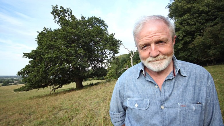Backdrop image for movie Oak Tree: Nature's Greatest Survivor