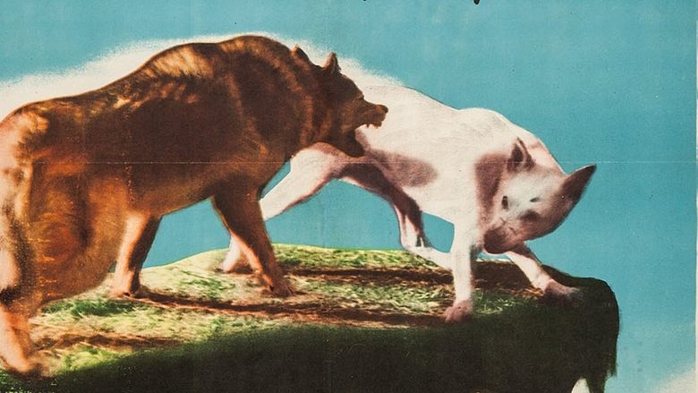 Backdrop image for movie Kazan