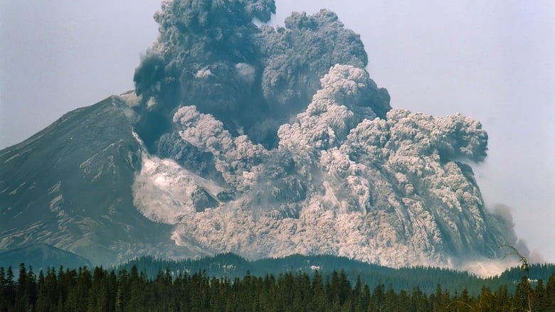 Backdrop image for movie Surviving the Mount St. Helens Disaster