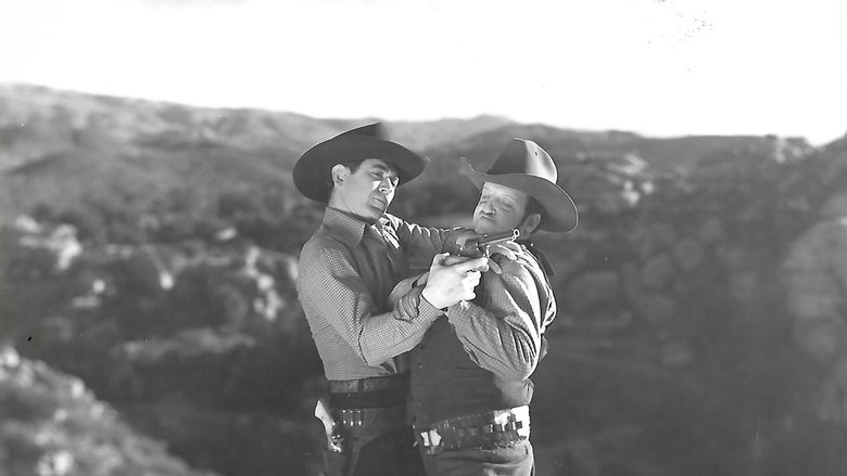 Backdrop image for movie Trail of Vengeance