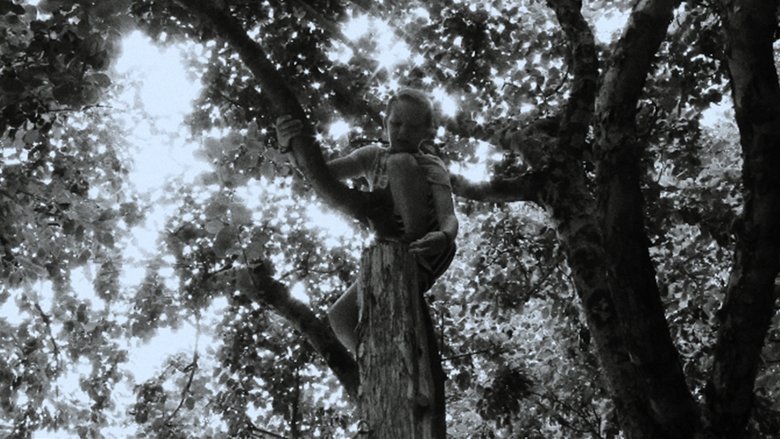 Backdrop image for movie Oat Boy