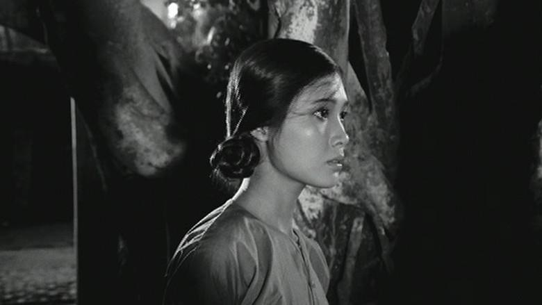 Backdrop image for movie When the Tenth Month Comes