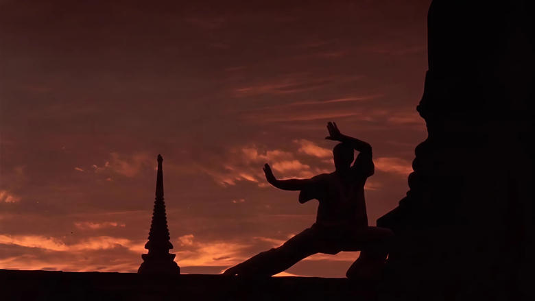 Backdrop image for movie Kickboxer
