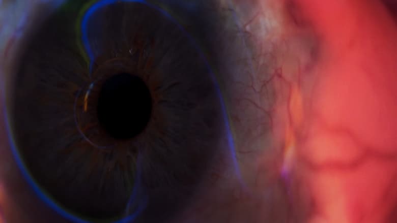 Backdrop image for movie A Visual Poem
