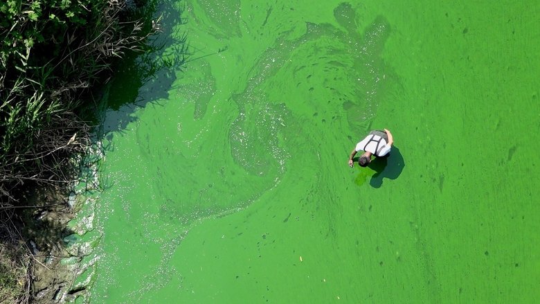 Backdrop image for movie Rivercide: The Secret Six