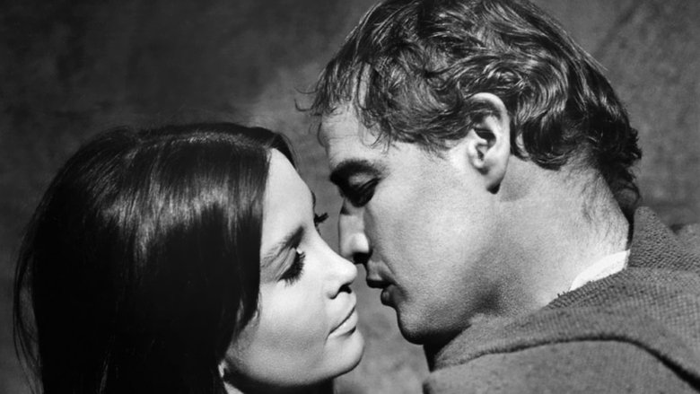 Backdrop image for movie The Appaloosa