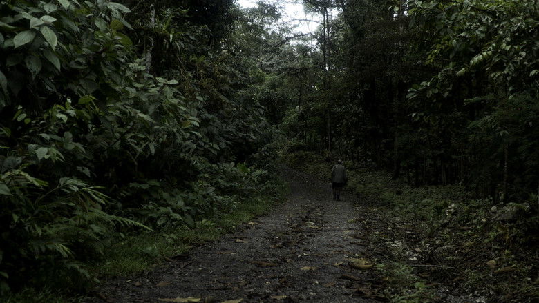 Backdrop image for movie Cielo Roto