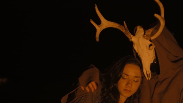Backdrop image for movie Miranda Veil